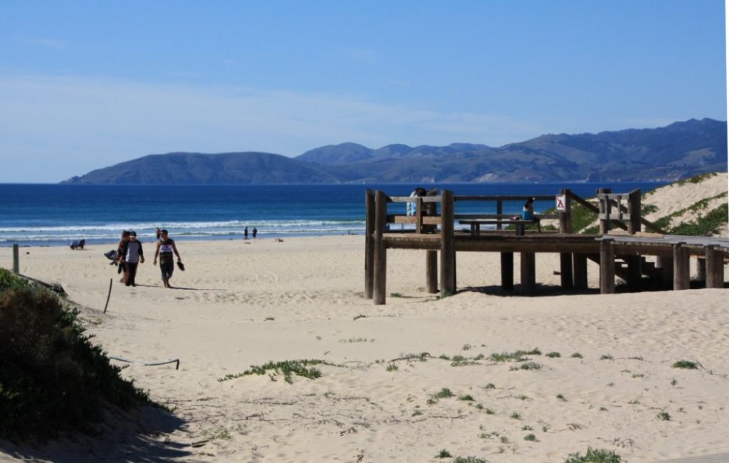 Grover Beach Runaway Suitcase