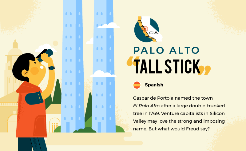 literal name of palo alto - tall stick