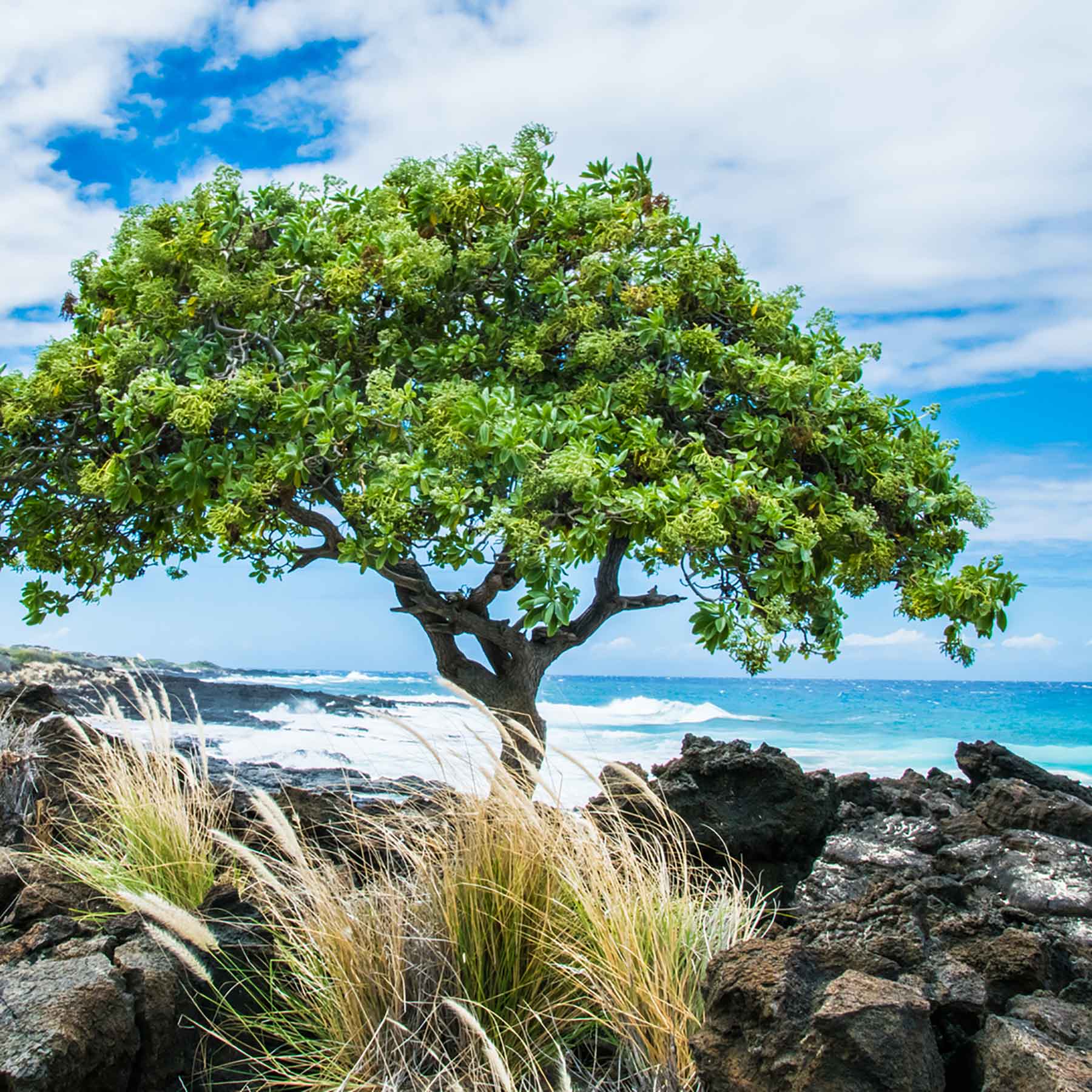 Kailua,-Maui