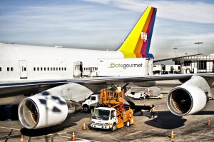 Gluten Free Airline Meals