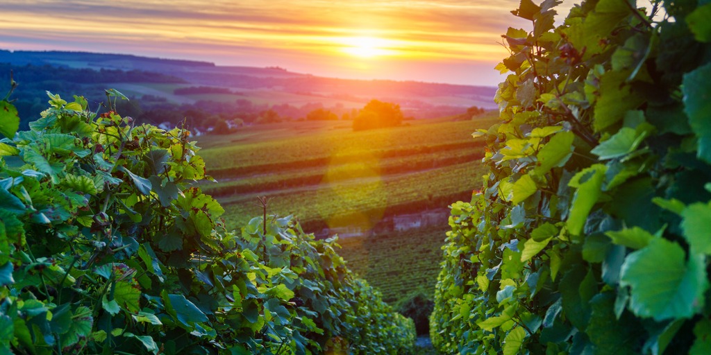 AllInclusive Wine Country Vacations by