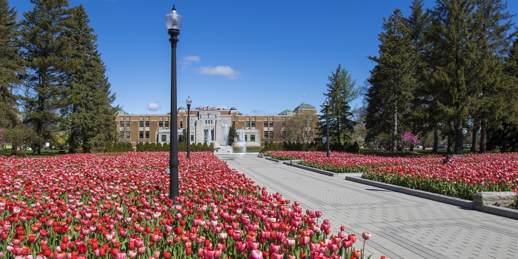 Best Places to Travel in March, Enjoy Spring in these Destinations