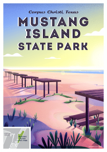 mustang island state park poster