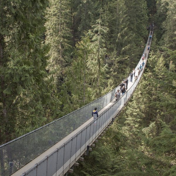 capilano-suspension-bridge-1393076_1920 (2)