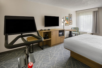 Room, 1 King Bed