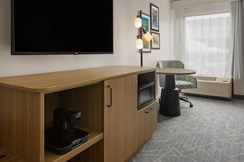 Room, 1 King Bed with Sofa bed