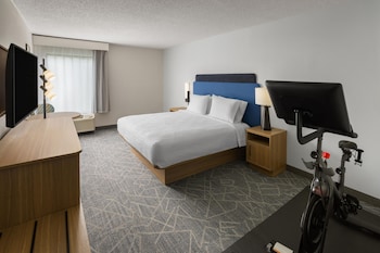 Room, 1 King Bed