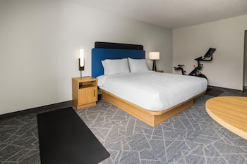 Room, 1 King Bed