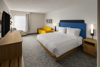 Room, 1 King Bed with Sofa bed