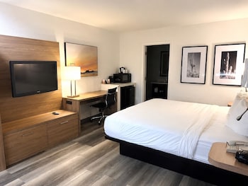 Standard Room, 1 King Bed, Accessible, Non Smoking