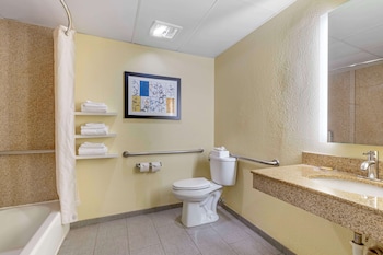 Standard Room, 1 King Bed, Accessible, Bathtub