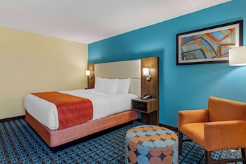 Standard Room, 1 King Bed, Accessible, Bathtub