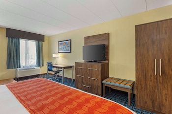 Standard Room, 1 King Bed, Non Smoking, Refrigerator & Microwave (with Sofabed)