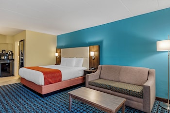 Standard Room, 1 King Bed, Non Smoking, Refrigerator & Microwave (with Sofabed)