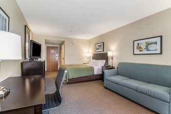 Standard Room, 1 Queen Bed with Sofa bed, Non Smoking