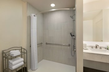 Room, 1 King Bed, Accessible (Mobility & Hearing, Roll-in Shower)