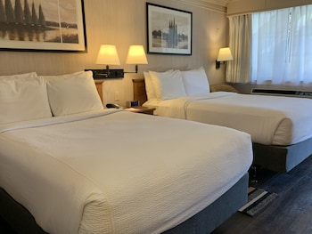 Single Room, 2 Double Beds