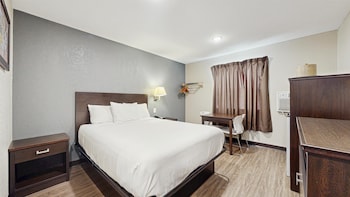 Room, 1 King Bed, Accessible, Non Smoking (Roll-In Shower)