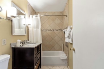 Studio Suite, 1 King Bed