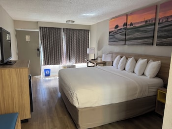 Room, 1 King Bed, Accessible, Non Smoking (Mobility/Hearing/Roll in Shower)