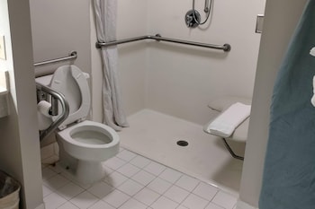Standard Room, 1 King Bed, Roll-in Shower, Non Smoking (Handicap Accessible)