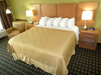 Standard Room, 1 King Bed, Non Smoking (Handicap Accessible)
