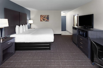 Studio Suite, 1 King Bed, Non Smoking