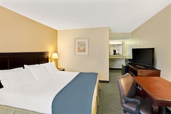 Room, 1 King Bed, Accessible, Non Smoking