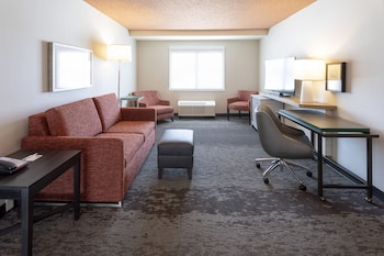 Standard Room, 1 King Bed with Sofa bed (Walk-In Shower)