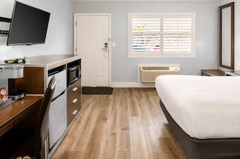 Room, 1 Queen Bed, Roll-in Shower