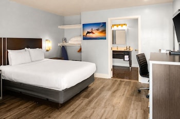Room, 1 Queen Bed, Roll-in Shower