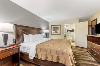Standard Room, 1 King Bed, Non Smoking