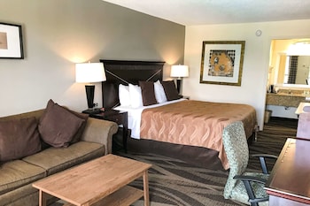 Room, 1 King Bed with Sofa bed, Non Smoking
