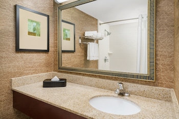 Suite, 1 King Bed (Additional Living Area)