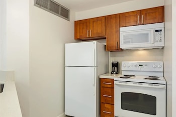 Executive Suite, 1 Bedroom, Mountain View