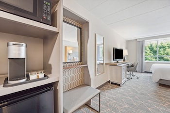 Standard Room, 1 King Bed with Sofa bed