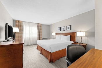 Deluxe Suite, 1 Bedroom, Non Smoking (1 King Bed)