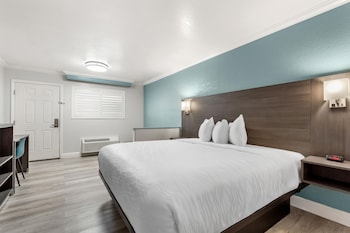 Room, 1 King Bed