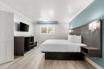 Studio Suite, 1 King Bed, Accessible