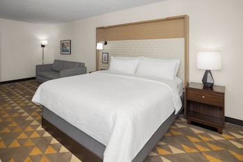 Standard Room, 1 King Bed, Accessible, Non Smoking