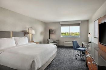 Room, 1 King Bed with Sofa bed