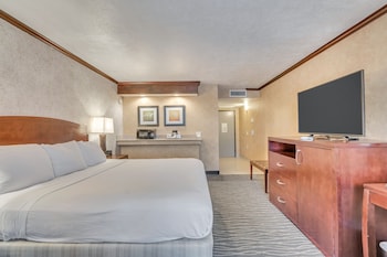 Premium Room, 1 King Bed, Non Smoking, Fireplace