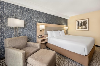 Room, 1 King Bed, Non Smoking (2nd Floor)