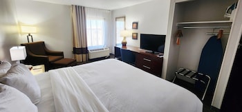 Standard Room, 1 King Bed, Non Smoking