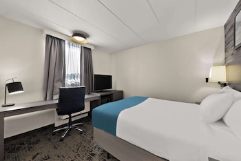 Standard Room, 1 Queen Bed, Non Smoking, Refrigerator & Microwave (Walk-in Shower)
