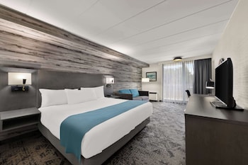 Standard Room, 1 King Bed, Non Smoking, Balcony (Walk-in Shower;with Single Sofabed)