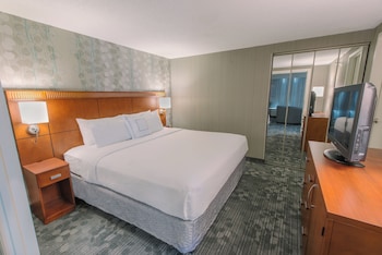 Room, 1 King Bed with Sofa bed (Mobility/Hearing Accessible, Tub)