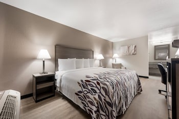 Superior Room, 1 King Bed, Non Smoking (Renovated)