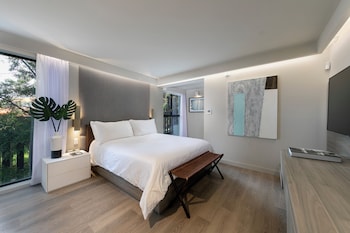 Studio, 1 Queen Bed, Accessible (Pines)