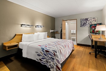 Superior Room, 1 King Bed, Accessible (Roll-In Shower, Smoke Free)